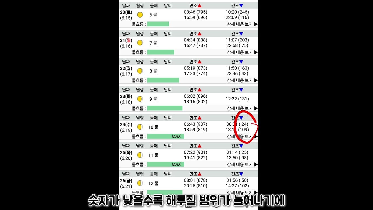 해루질 초보 필수정보))초간단 물때 보는 법과, 적당한 물높이