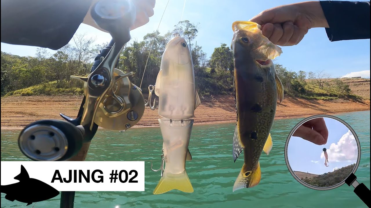 AJING X BIGBAIT - Pescaria na Represa de Igaratá