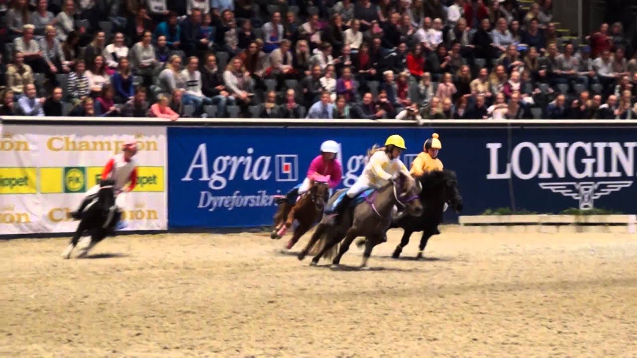 Ponnigalopp KOHS 2015