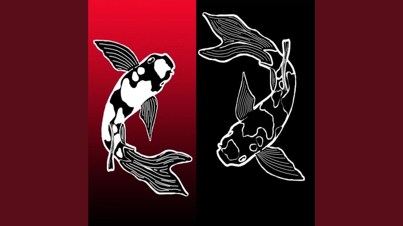 KOI FISH CONFESSIONAL