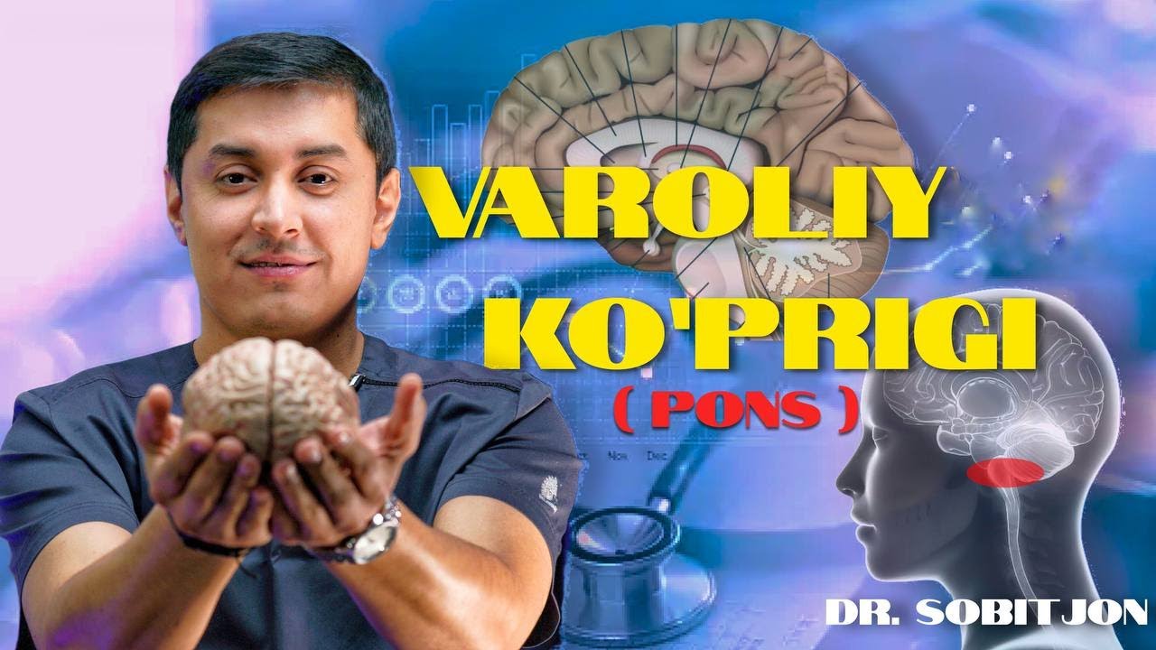 Varoliy ko'prigi  klinik neyroanatomiyasi  8 &ndash; dars