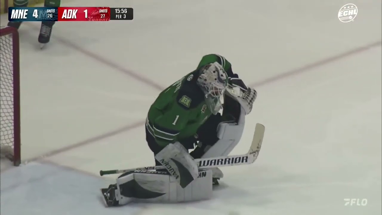 Maine Mariners @ Adirondack Thunder highlights - 1/31/26