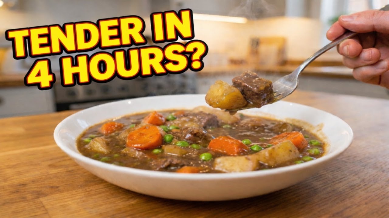 Ninja Slow Cooker Beef Stew | 4 Hour Beef Skirt Test (Rich Gravy)