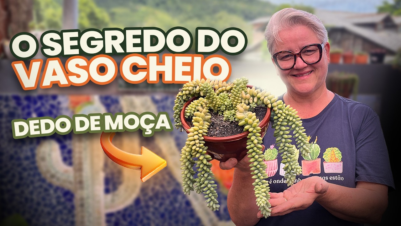 O Segredo do Vaso Cheio - Dedo de Moça
