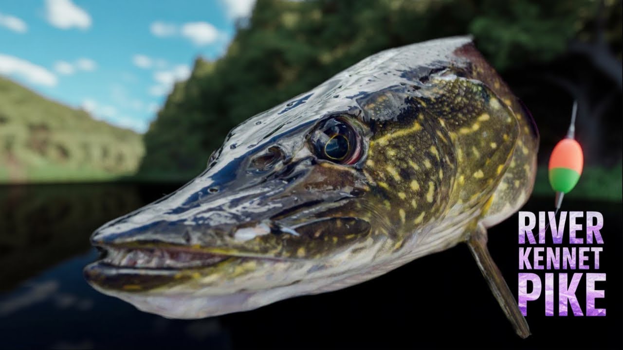 Fly Fishing & Pike Hunting | Real UK River Sessions