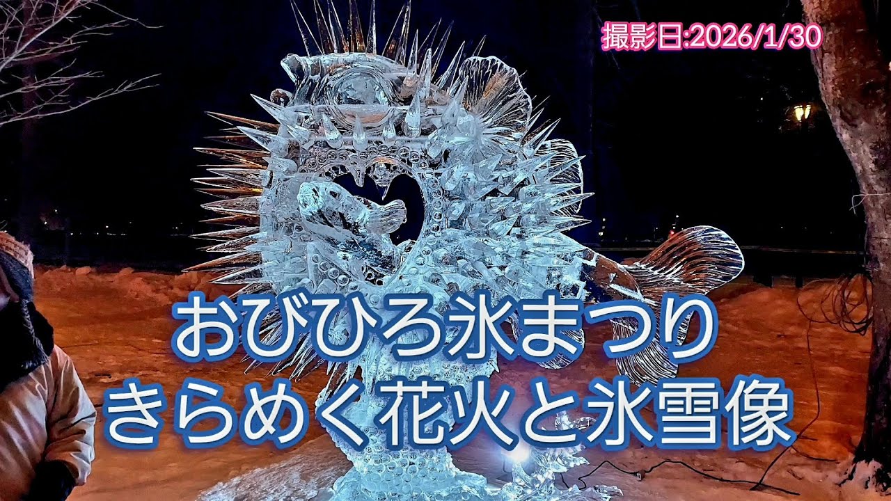 おびひろ氷まつり  きらめく花火と氷雪像