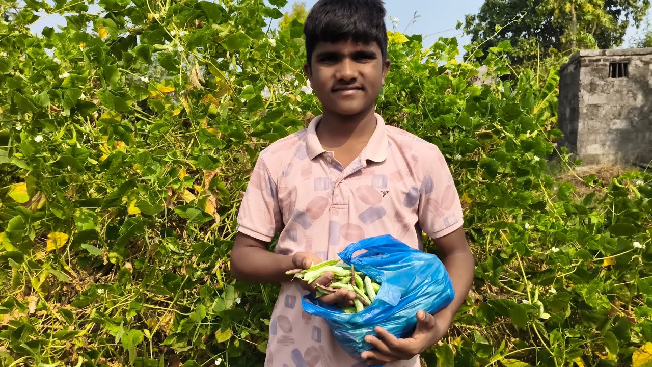 Khet mein Se vegetables collect karne Agaye Aaj 😍 
