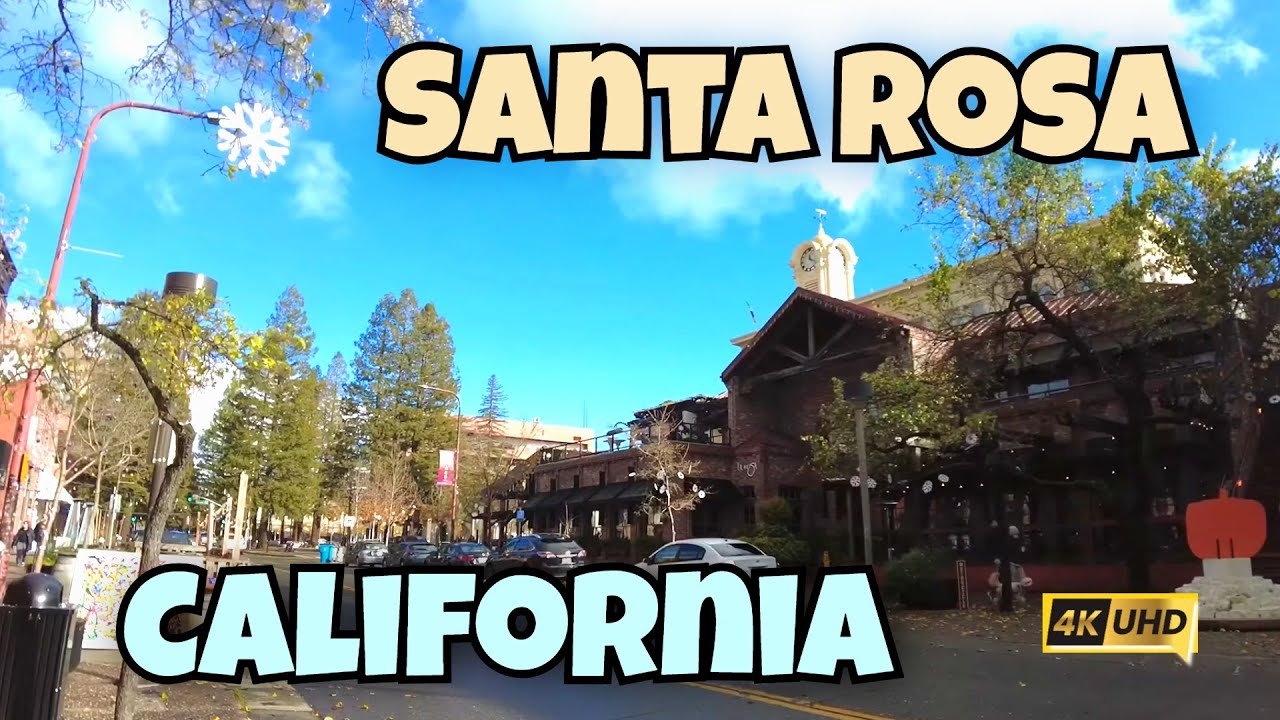 A Walk Through Santa Rosa: California's Charming Wine Country City