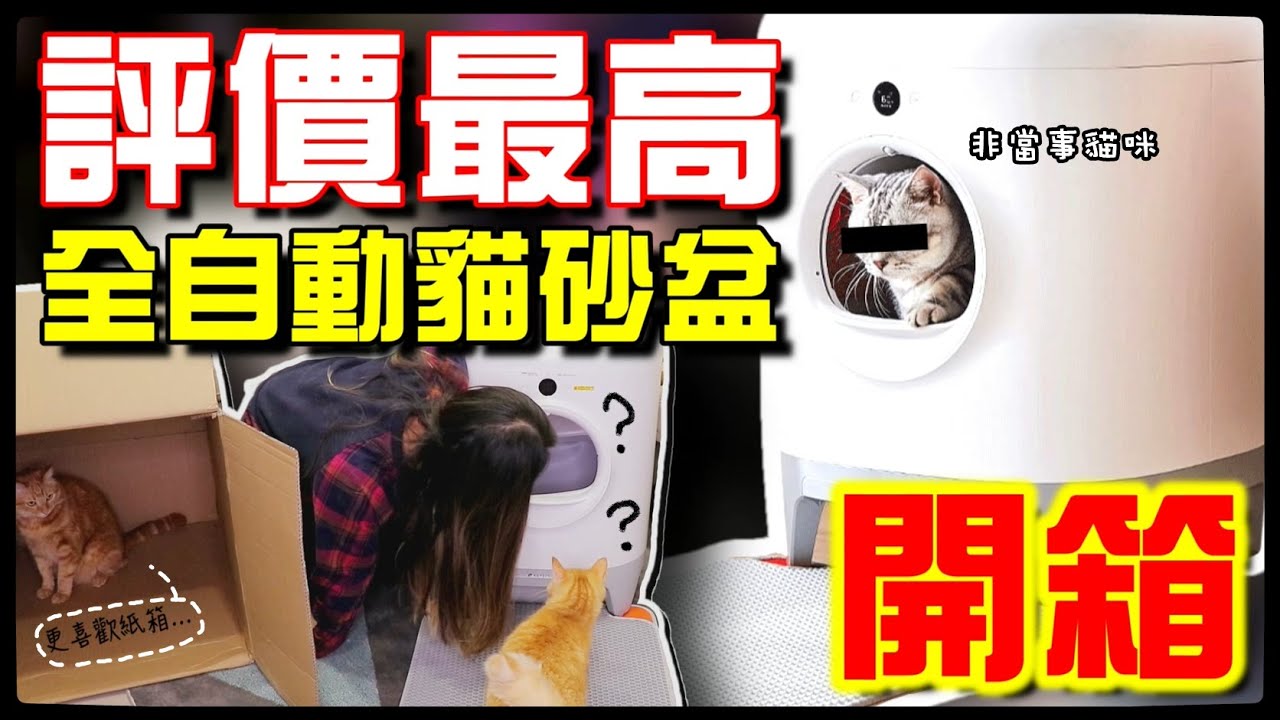 【魚乾】PetKit全自動貓砂盆開箱！好後悔怎麼沒早點買！
