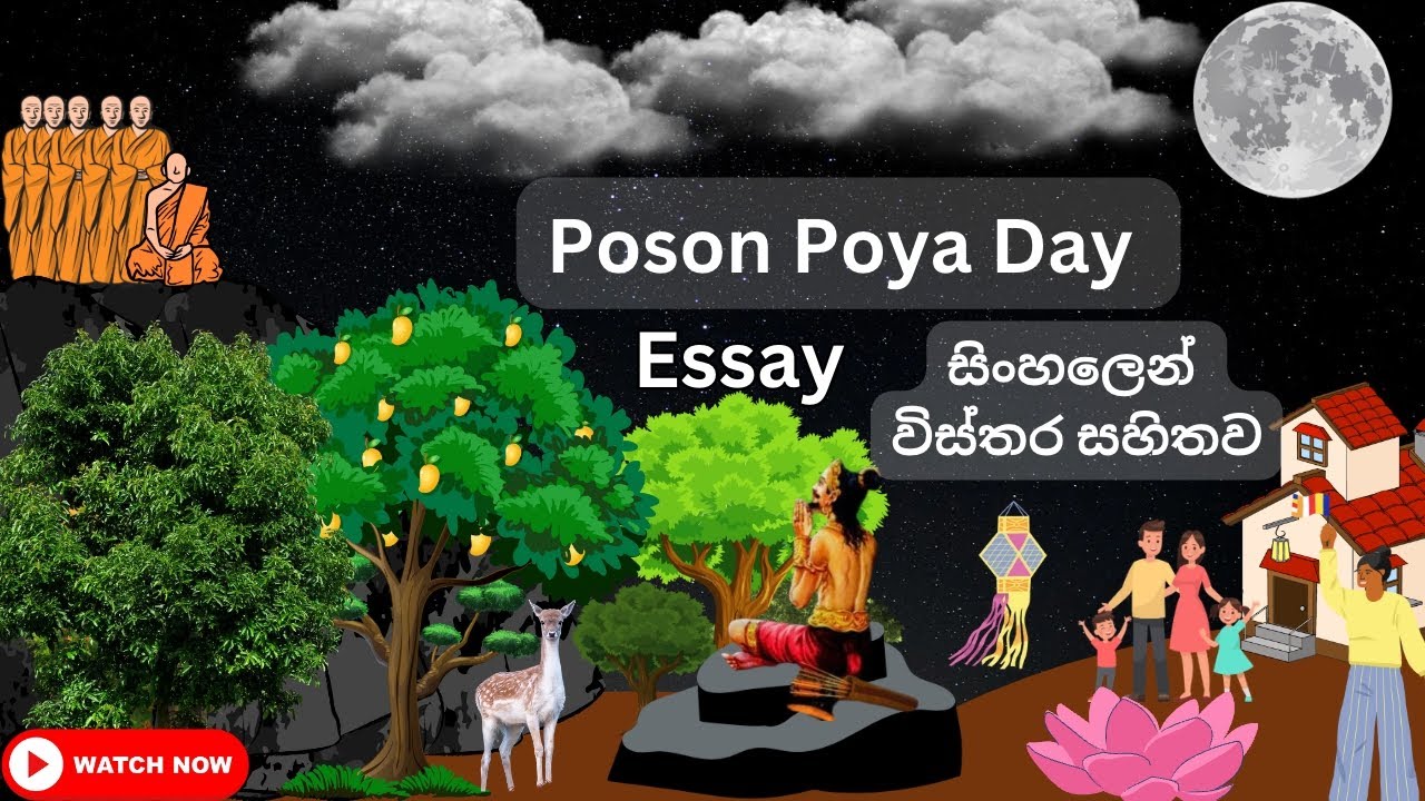 MY ENGLISH TEACHER W.I - Episode 378|Poson Poya Day Essay.