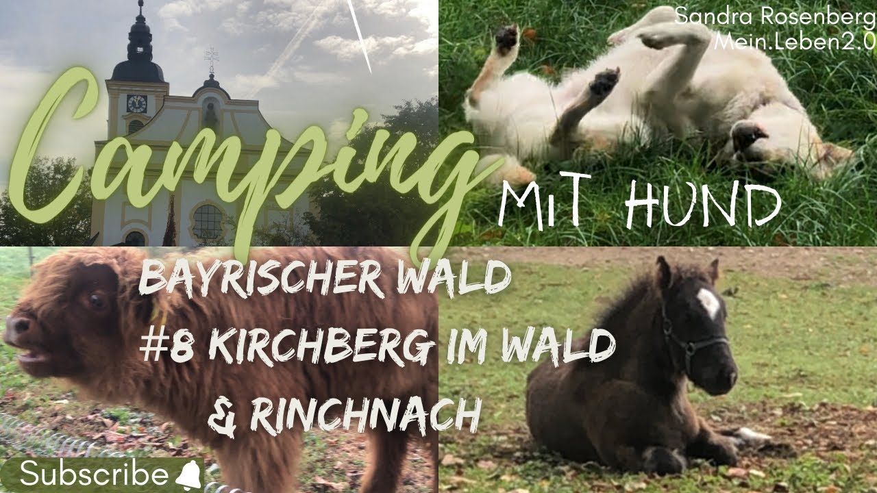 #8 Bayrischer Wald 🌳🐶🐾 - Kirchberg im Wald & Rinchnach #reisevlog #vanlife #bayrischerwald