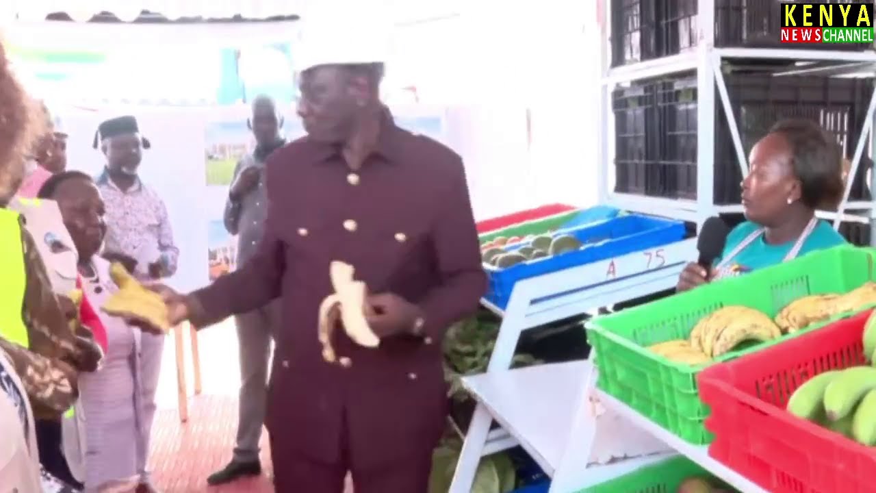 Ruto buys Bananas for everyone after Mama Mboga tells him she has Hustler Fund