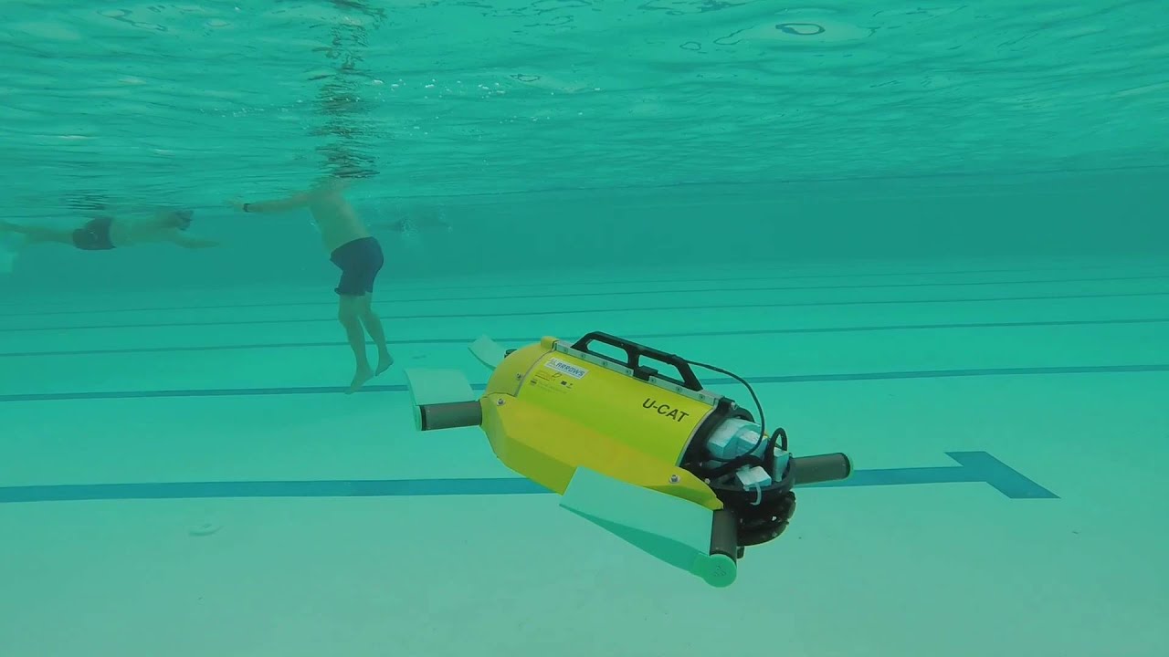 U-CAT Biomimetic Robot