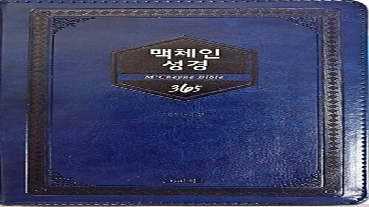 맥체인365  70일차