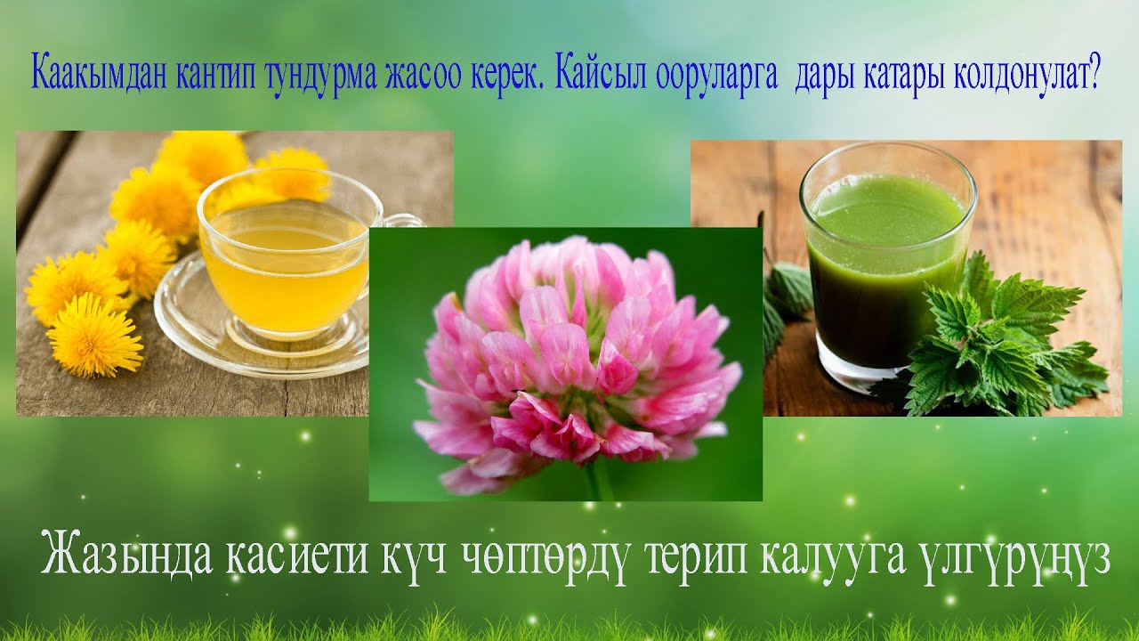 Каакымдын ден соолукка пайдалуулугу  Жазгы чөптөрдүн касиеттери