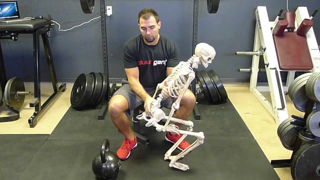 Glute and Pelvic Biomechanics & The Importance of Locking Out With the Glutes