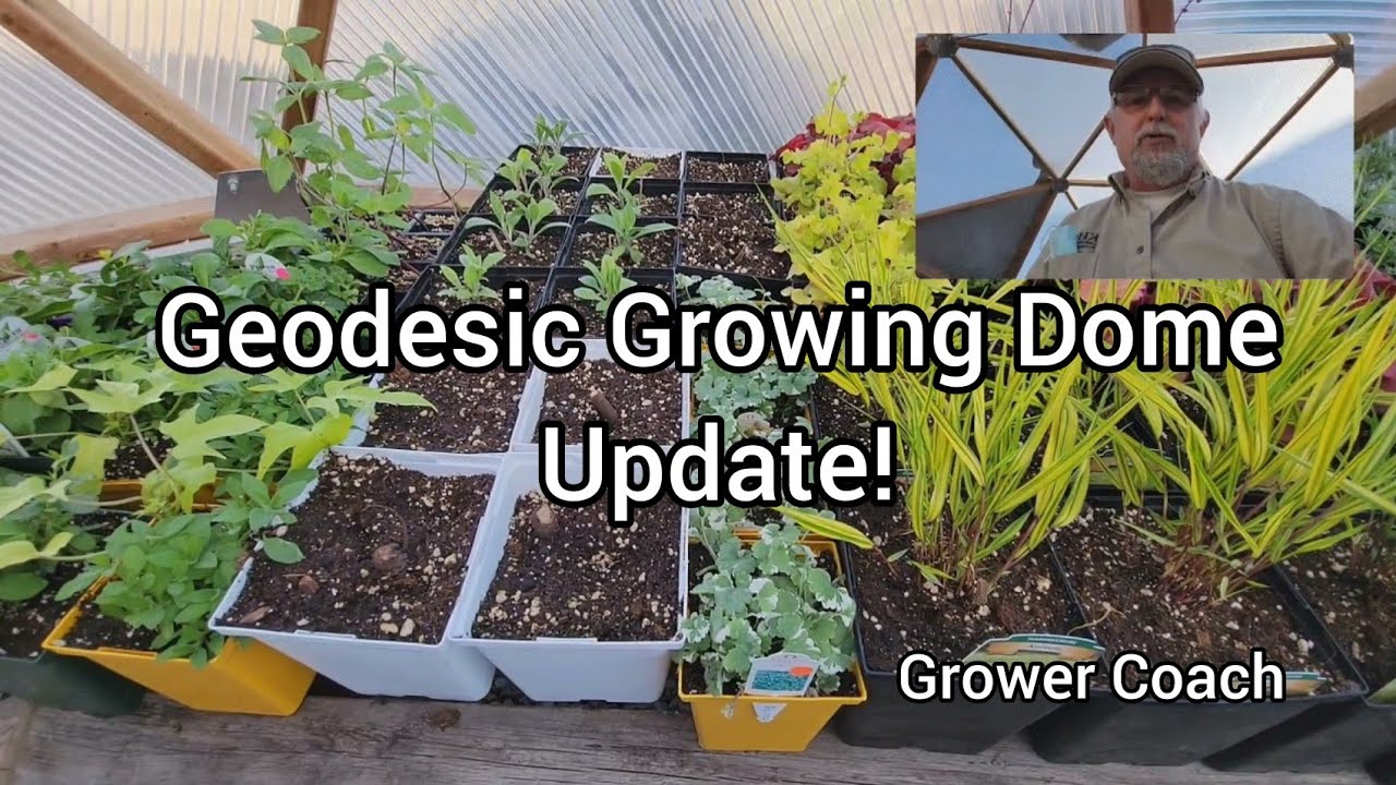 Update! Grower Coach Geodesic Growing Dome