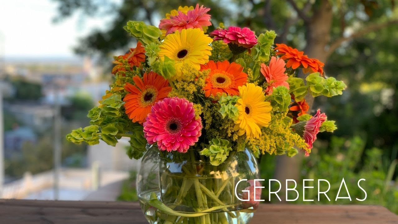 En Vivo con Ana Galena arreglo de flores con gerberas en pecera sin espuma floral