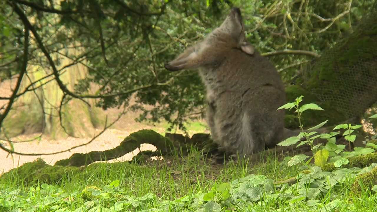 Jardin de Normandie : le Parc de Clères