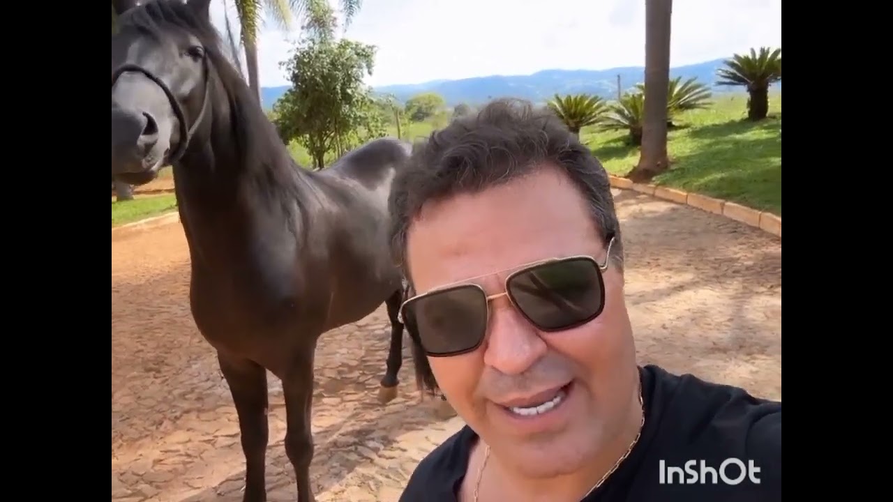 Eduardo Costa  Haras Eduardo Costa  . Abertura de Vendas dos cavalos Manga Larga Marchadores.