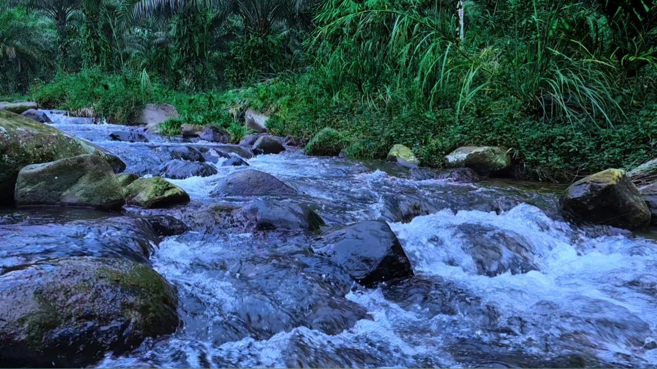 Relaxing water sounds, White noise for sleeping, Meditation, Healing sounds, ASMR