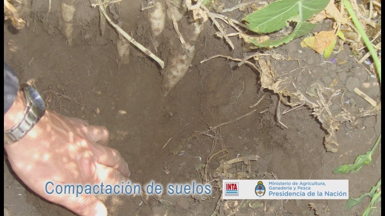 Compactación de suelos