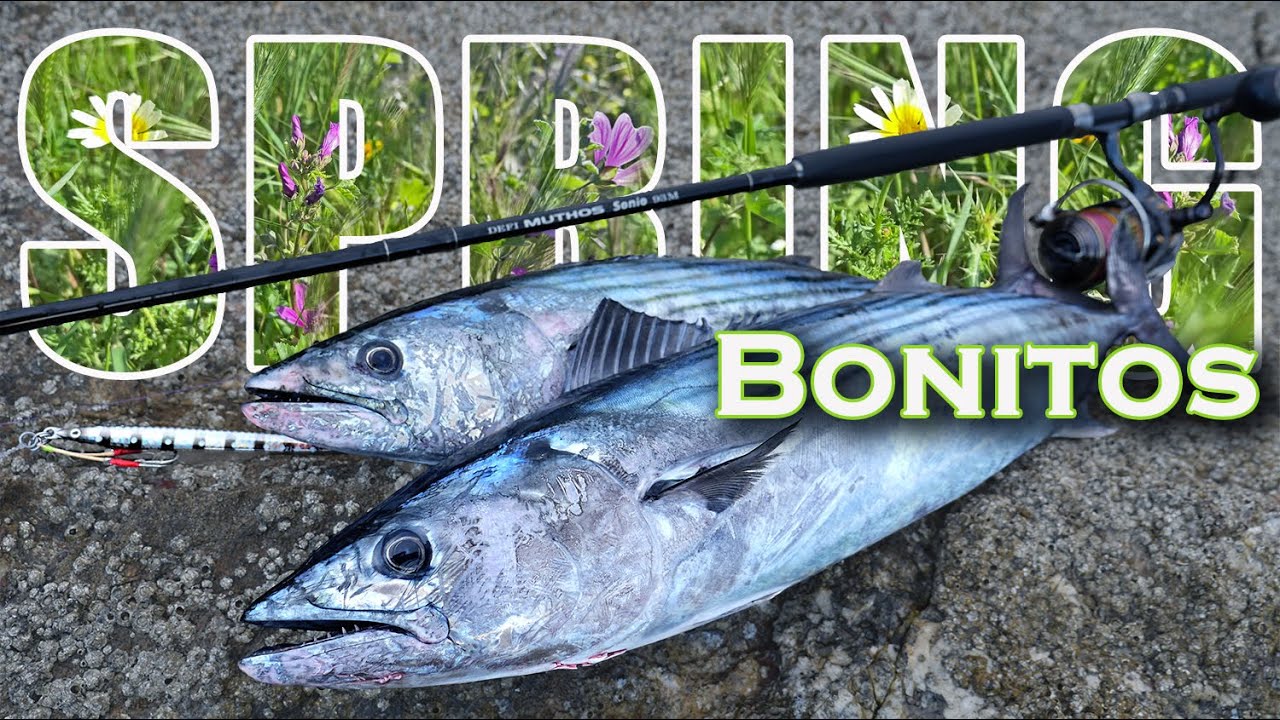 This TRICK made them STRIKE | SHORE JIGGING | CATCH & COOK