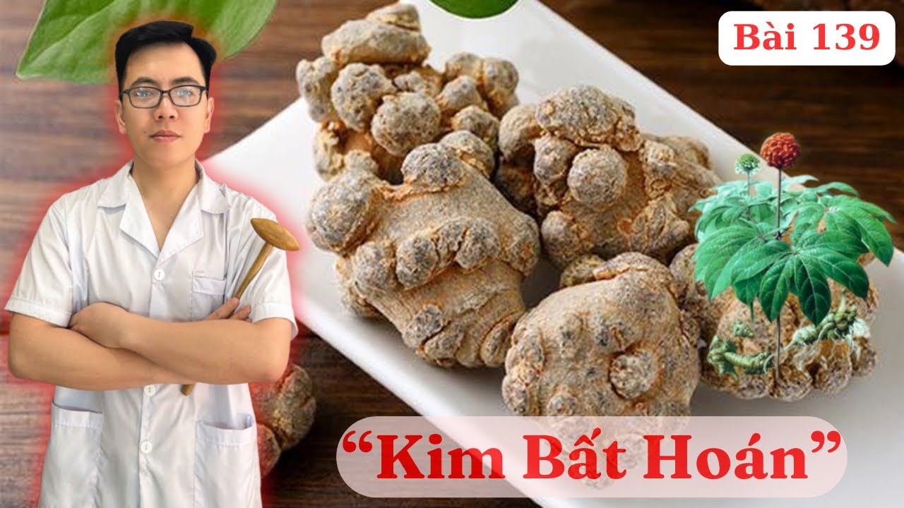 “Tam Thất Bắc” có tác dụng gì? Ai không nên dùng? 5 cách chế biến và sử dụng hiệu quả nhất