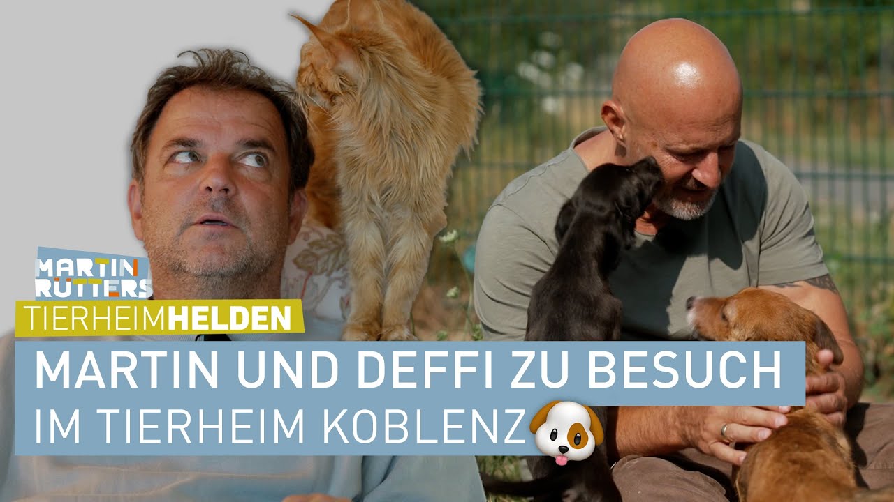 Deffi wird zum HUNDETRAINER und Martin zum TAUBENFLÜSTERER 🕊️ | Martin Rütters Tierheimhelden