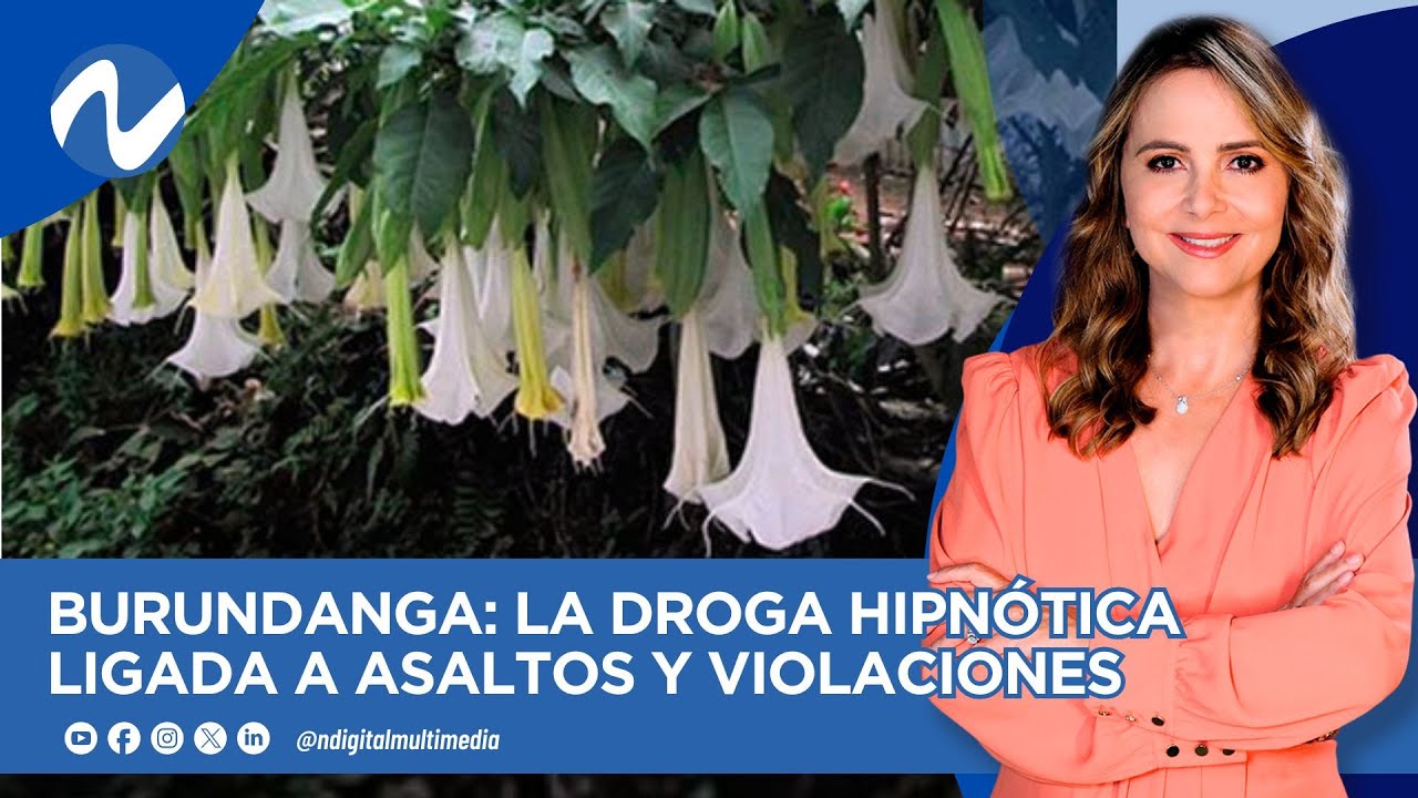 Burundanga: la droga hipnótica ligada a asaltos y violaciones