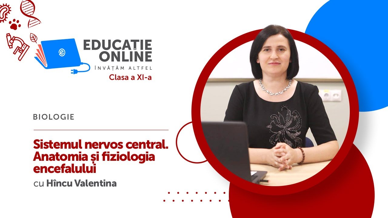 Biologie, clasa a XI-a, Sistemul nervos central. Anatomia și fiziologia encefalului