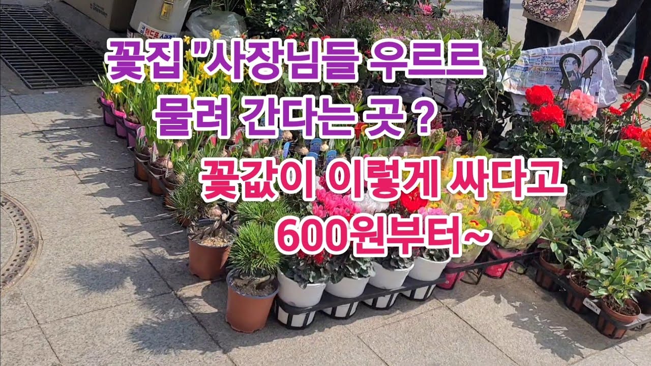 꽃집 