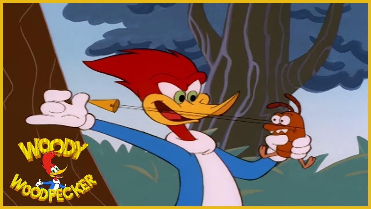 Woody Woodpecker | Woody & The Termite | Full Episodes