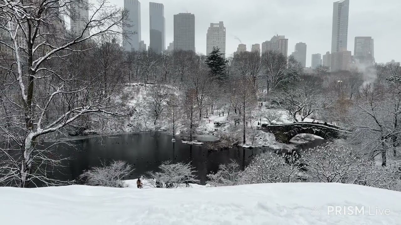 New York 2026 |Snowing morning walking,Central Park,7:53am 12/27/2025