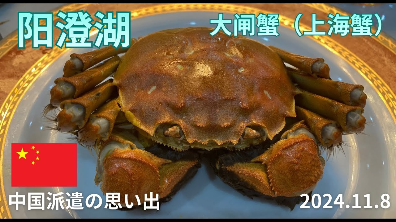 中国江蘇省　阳澄湖　本場の上海蟹（大闸蟹）を楽しむ　中国派遣の思い出