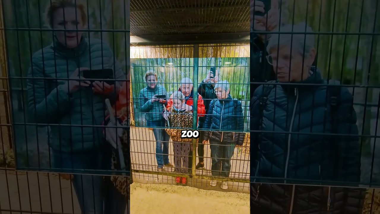 This Box Simulates How It Feels Like Being An Animal At The Zoo! (📸: @lovenaturetiktok/TT)