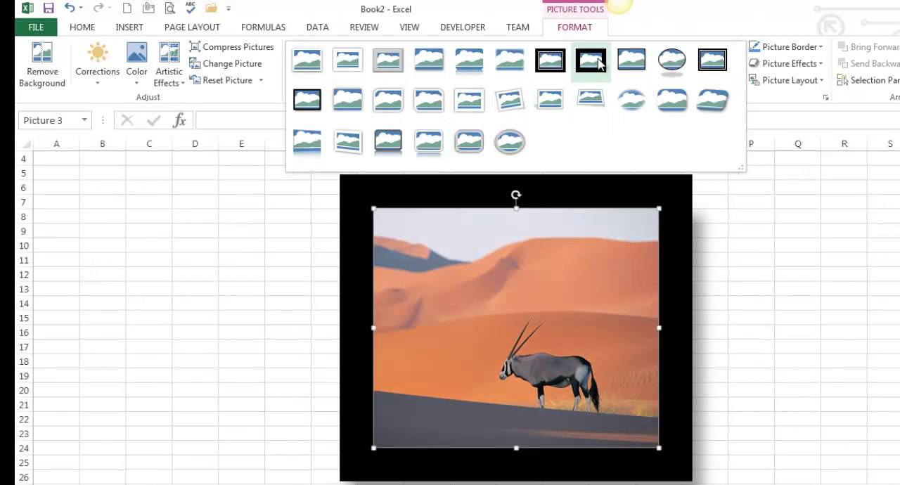 Insert and Format Pictures / Online Pictures / Clip Art in Excel 2013