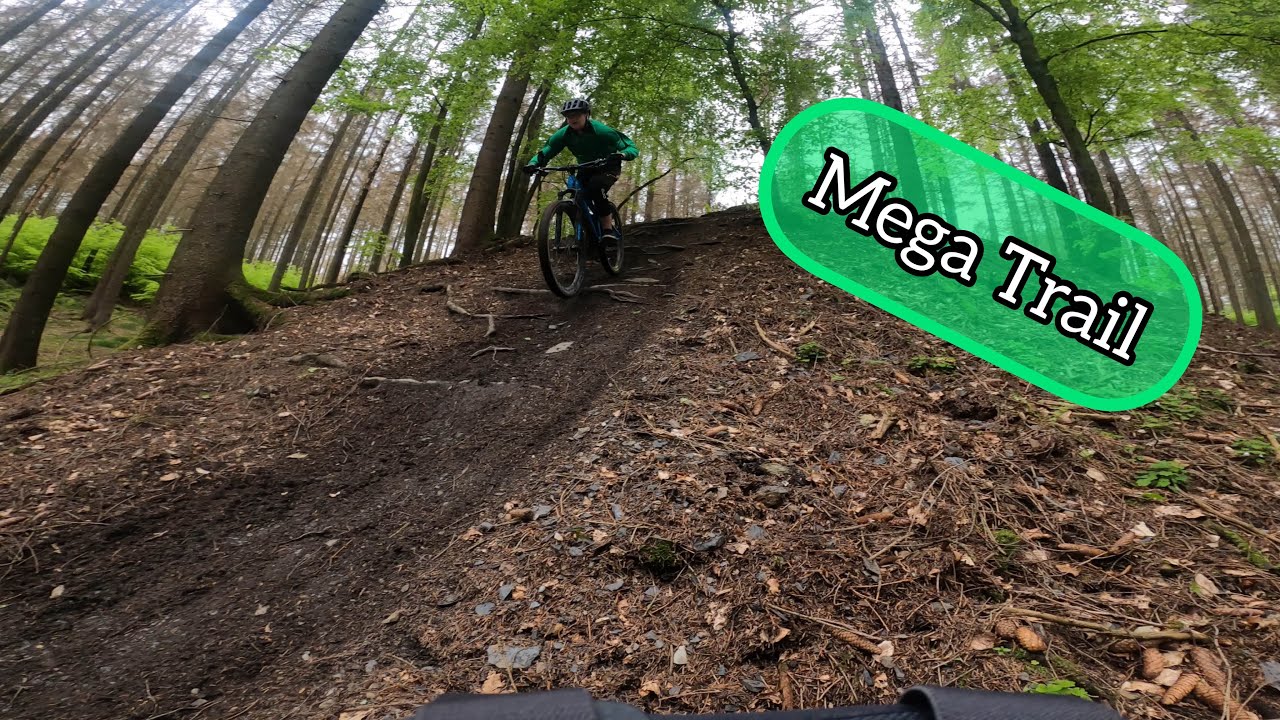 Trail in Niederschelden im Giebelwald