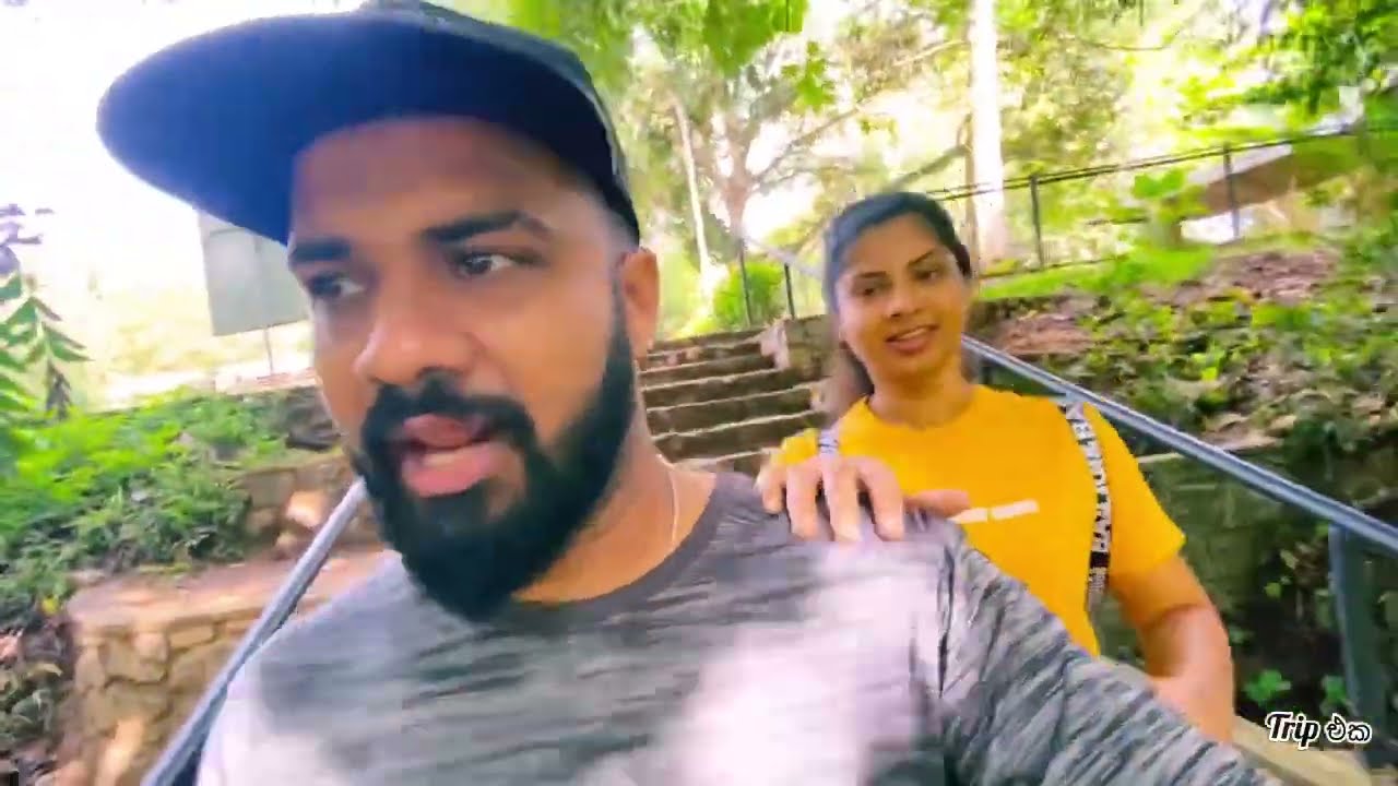 පින්නවල කියන්නෙ අලිම විතරක් නෙමෙයි | Trip එක