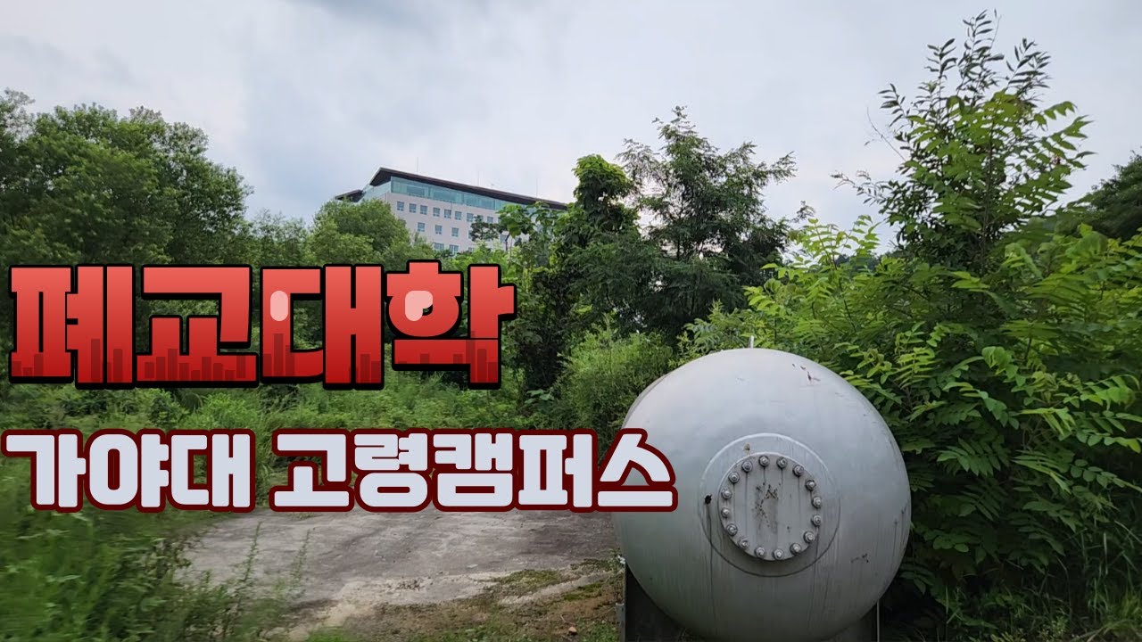 폐교된 가야대 고령캠퍼스 현재모습, 대학로 실상