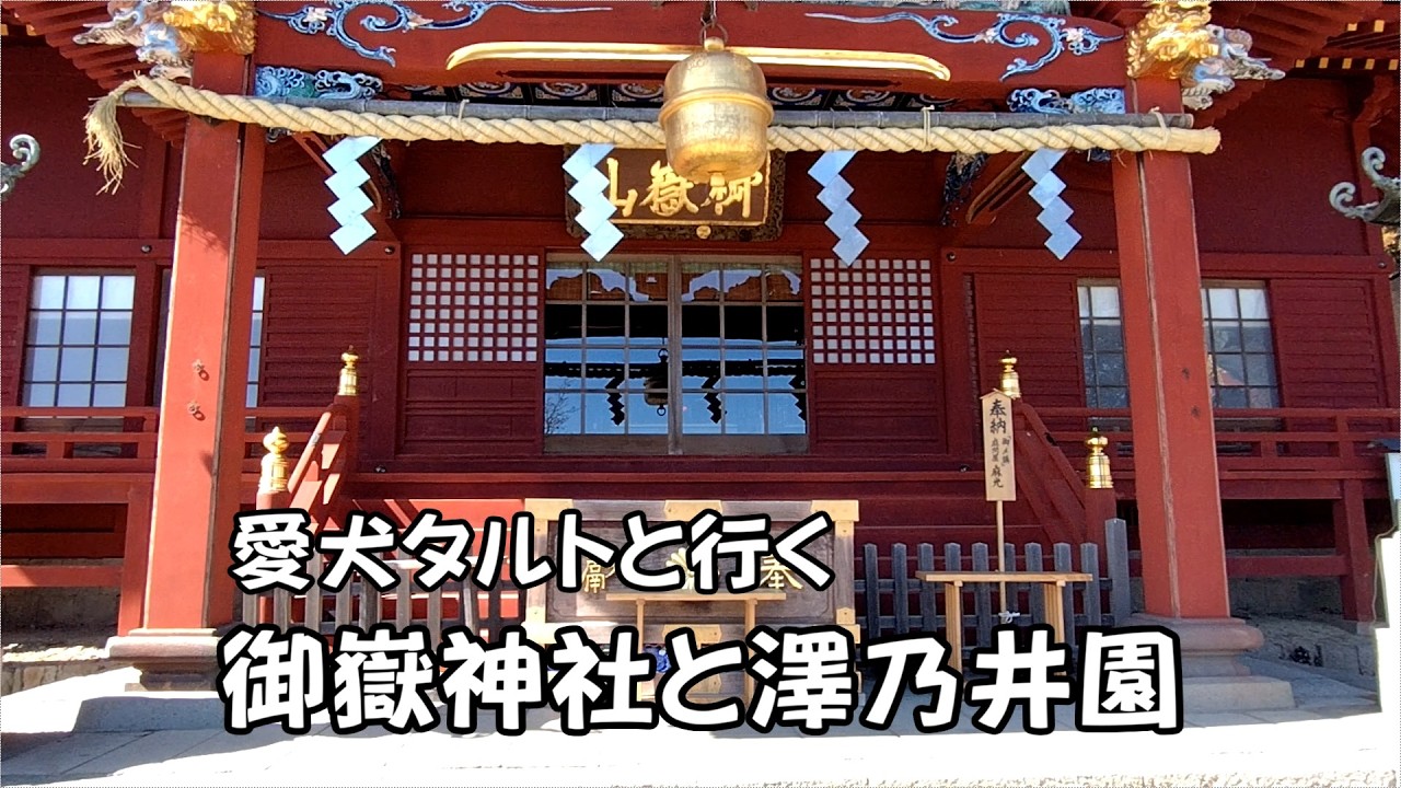 【武蔵御嶽神社と御岳渓谷】 おいぬ様を祀った神社と遊歩道をお散歩　2026.2.21