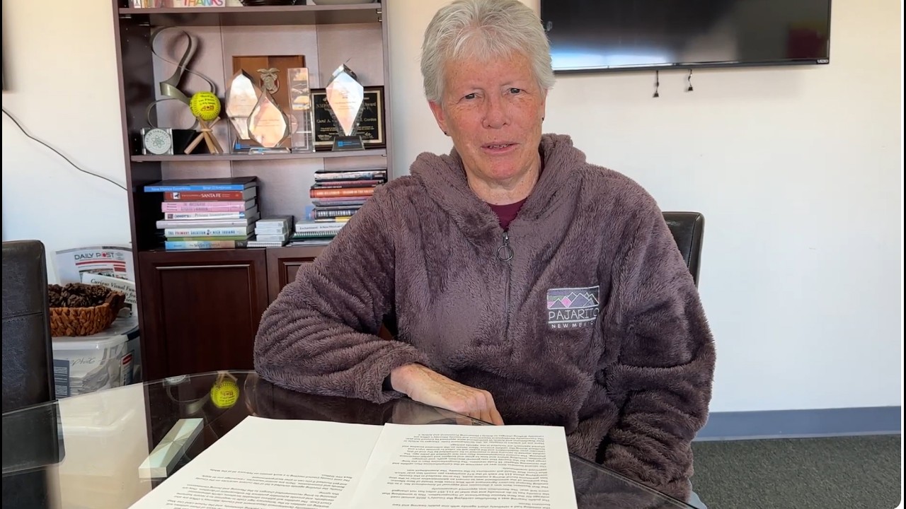 Councilor Theresa Cull discusses Tuesday&rsquo;s council meeting