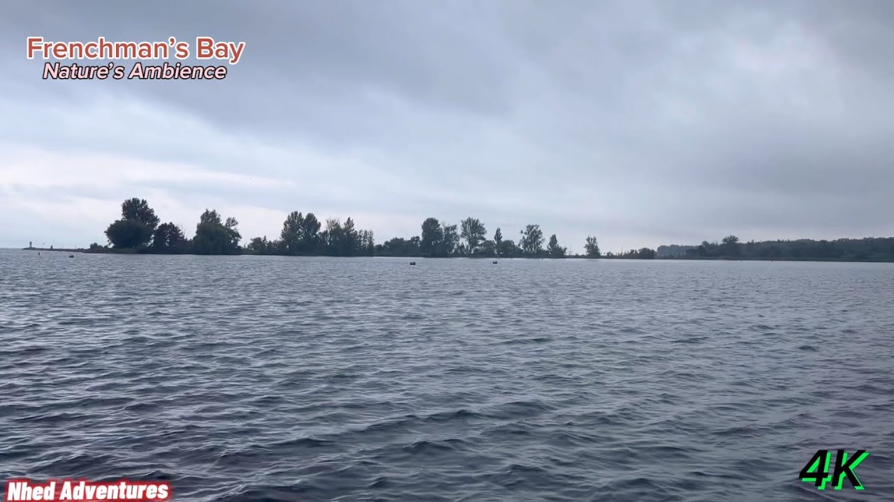 Serenity by the Lakeside: Relaxing Nature Sounds