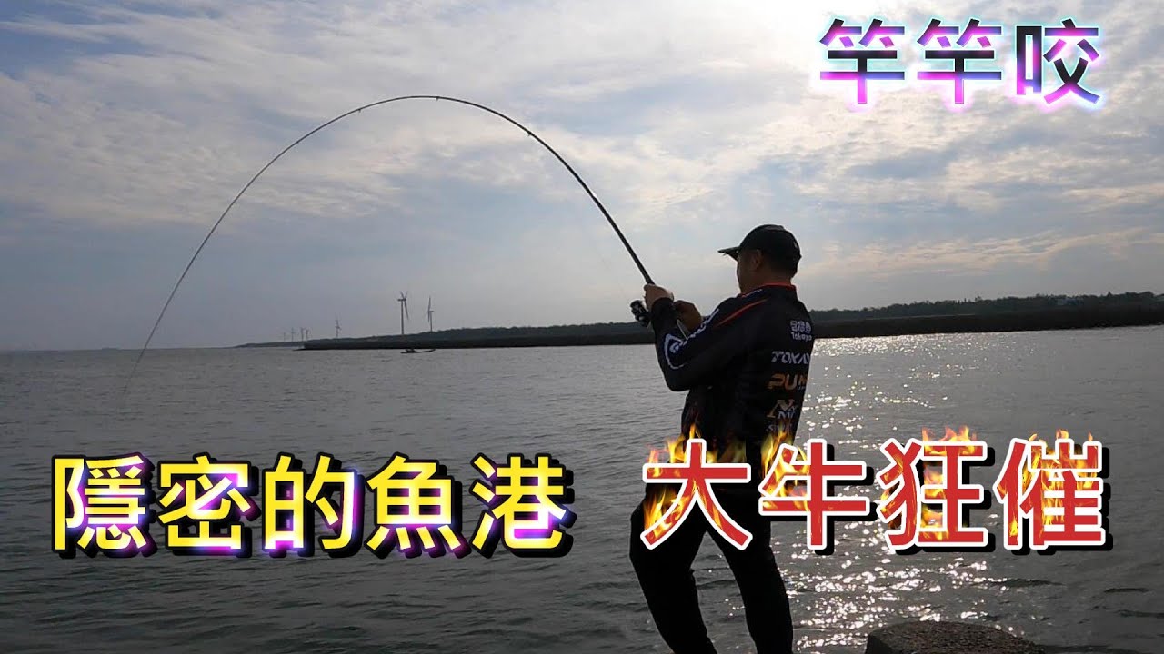 這是隱密的漁港 傳說中的漁港 早期沒導航 聽的到不一定找的到 好久沒有在漁港拉得這麼爽了 漁港一般都是小魚 這個漁港很不一樣