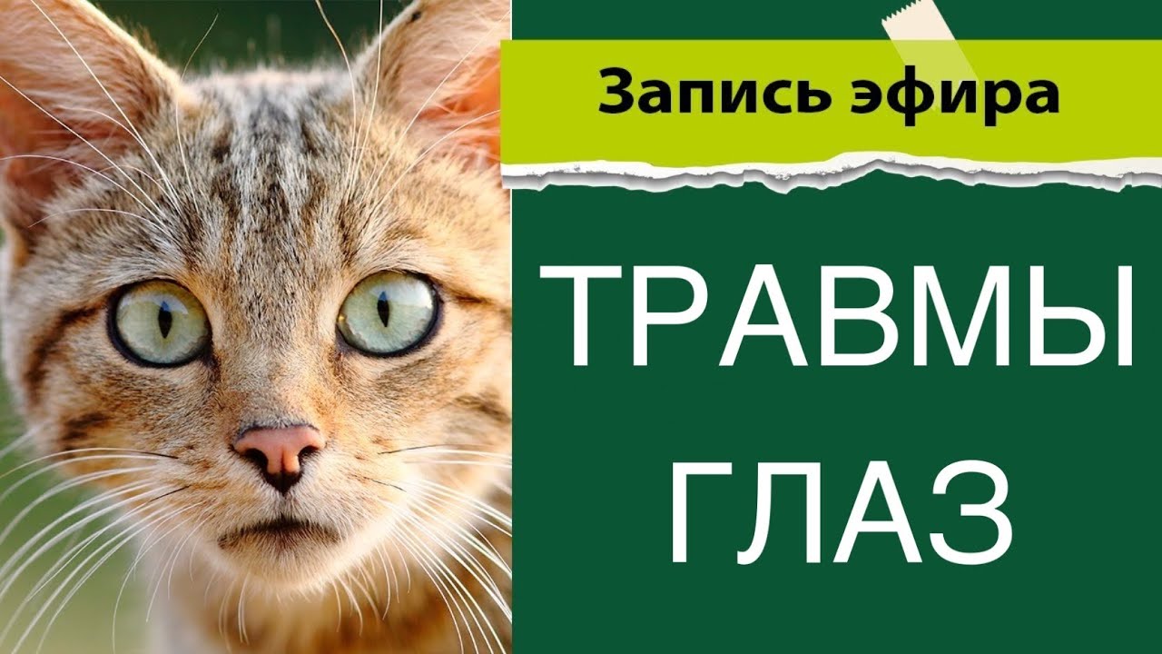 Травмы глаз