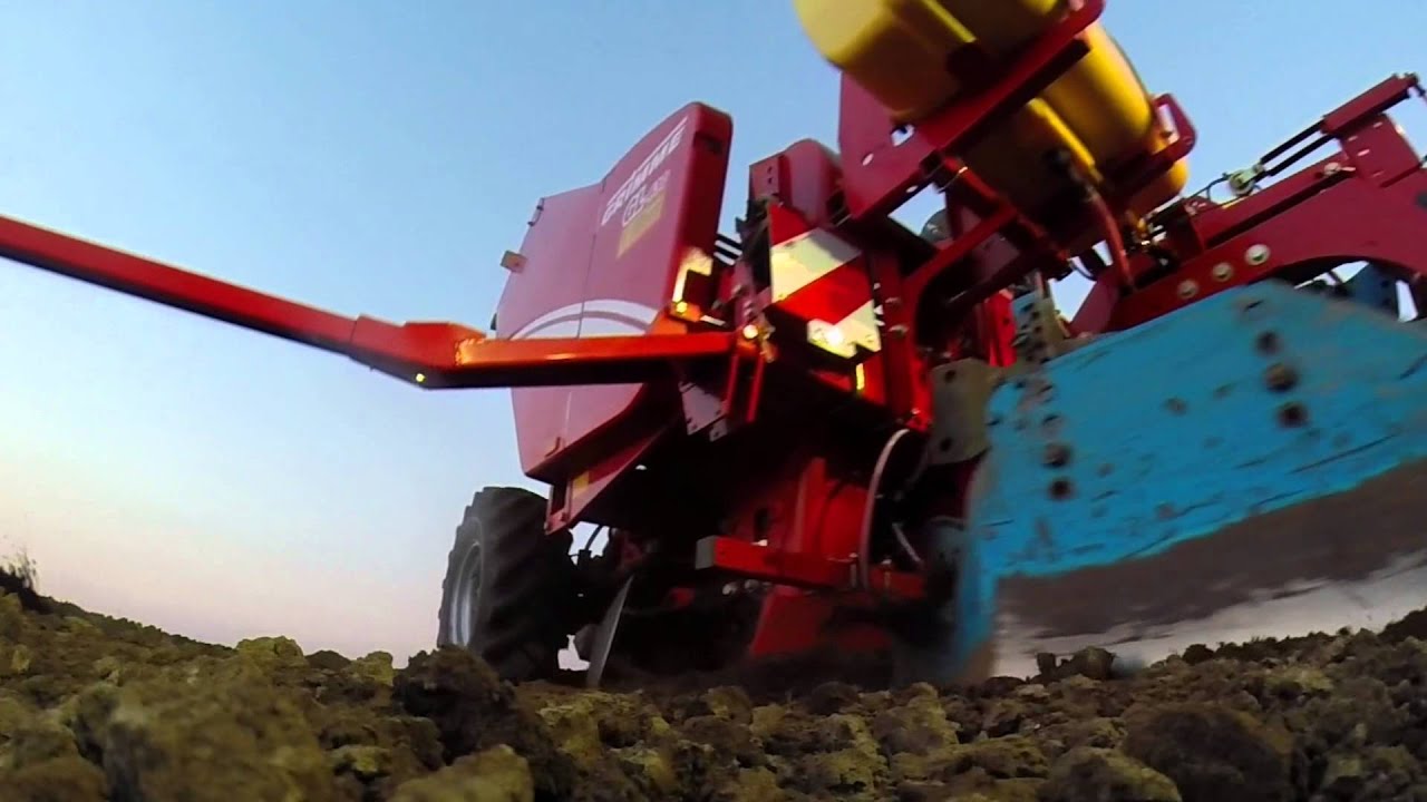 *HAUKE HINRICHS* Potatoes 2014 Dexterra