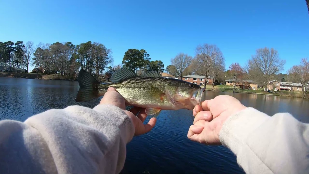 Return of the Abumatic 170 and introducing the MaxPro by Abu Garcia