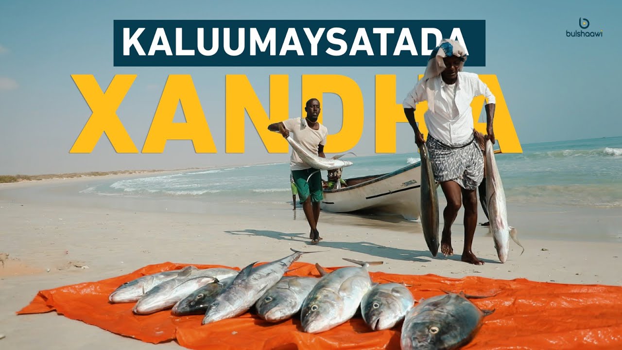 Nolosha Badda Xandha: Halgan iyo Kaluumaysi Maalinle ah || The Daily Struggle of Xandha’s Fishermen