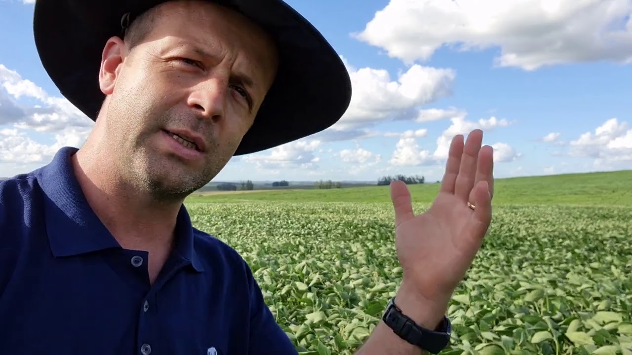 Mancha alvo, v&iacute;deo 2. Manejos!