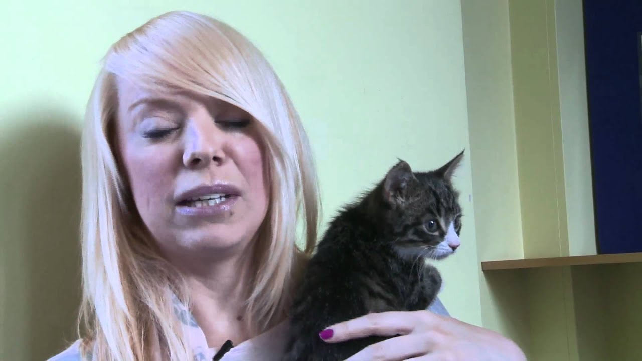 Liz McClarnon Recommends Rehoming an RSPCA Animal